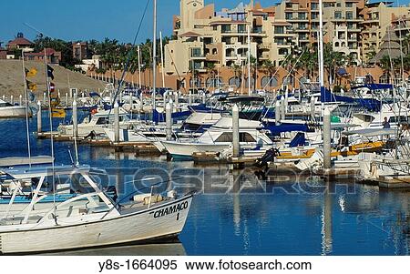 Marina at Cabo San Lucas View Large Photo Image Stock Photography - Marina at Cabo San Lucas. Fotosearch