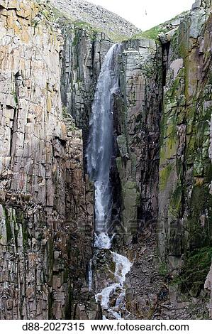 Stock Photography - Marine birds colony nesting in cliffs. Black legged Kittiwake ( Rissa tridactyla ) and Thick Billed Murre ( Uria lomvia ) and Common Murre or Thin billed Murre ( Uria aalge ).. Fotosearch