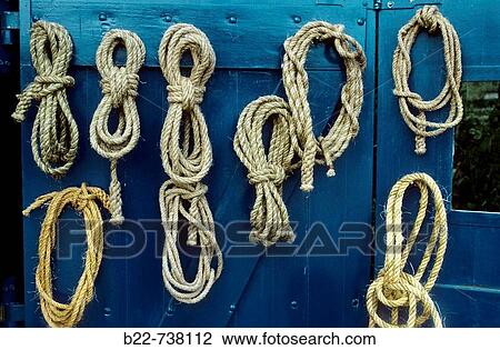 Marine knots, Brittany, France View Large Photo Image Stock Image - Marine knots, Brittany, France. Fotosearch