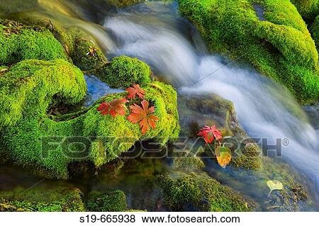 Maroon Bells, Aspen, Colorado, USA View Large Photo Image Stock Photo - Maroon Bells, Aspen, Colorado, USA. Fotosearch