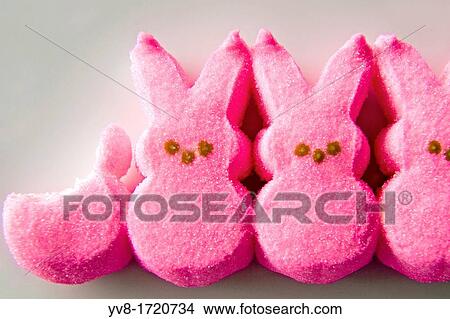 Marshmallow bunnies View Large Photo Image Picture - Marshmallow bunnies. Fotosearch