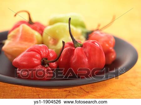 Martinique Hot Pepper, capsicum annuum View Large Photo Image Stock Photograph - Martinique Hot Pepper, capsicum annuum. Fotosearch