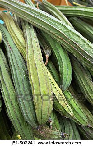 Massachusetts, Boston, Chinese okra, Chinatown district in city, interior of grocery store specializing in Asian foods and produce View Large Photo Image Stock Image - Massachusetts, Boston, Chinese okra, Chinatown district in city, interior of grocery store specializing in Asian foods and produce. Fotosearch