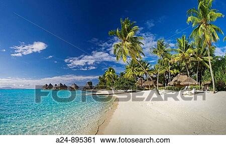 Matira. Beach at the InteContinental Resort, Bora Bora island, Society Islands, French Polynesia (May 2009) View Large Photo Image Stock Image - Matira. Beach at the InteContinental Resort, Bora Bora island, Society Islands, French Polynesia (May 2009). Fotosearch