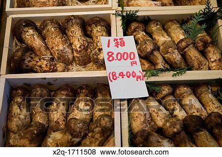 Matsutake mushrooms for sale at a market in Tokyo Japan View Large Photo Image Stock Photo - Matsutake mushrooms for sale at a market in Tokyo Japan. Fotosearch