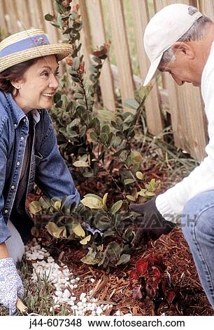 Mature couple working in the garden View Large Photo Image Stock Photo - Mature couple working in the garden. Fotosearch