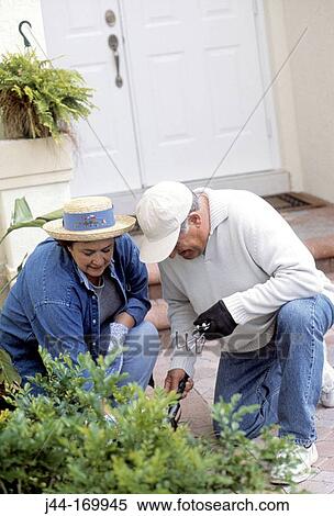 Mature couple working in the garden View Large Photo Image Stock Photography - Mature couple working in the garden. Fotosearch