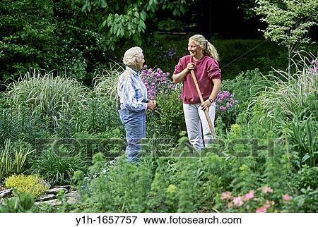 Mature woman and young woman confer in blooming garden on summer evening about gardening View Large Photo Image Stock Photo - Mature woman and young woman confer in blooming garden on summer evening about gardening. Fotosearch