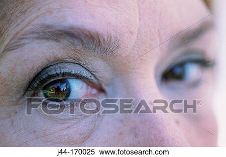 Mature woman's eyes View Large Photo Image Stock Photography - Mature woman's eyes. Fotosearch