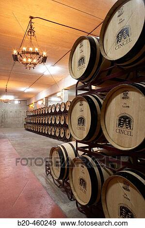 Maturing Rioja wine in oak casks. Bodegas Virgen del Valle, Samaniego, Rioja Alavesa, Euskadi View Large Photo Image Stock Photo - Maturing Rioja wine in oak casks. Bodegas Virgen del Valle, Samaniego, Rioja Alavesa, Euskadi. Fotosearch