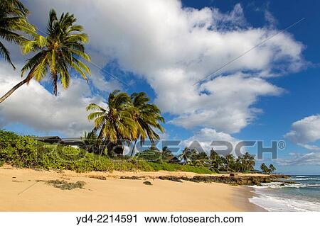 Mauna Lahilahi Beach Park, O`? hu Island, Hawaii, USA. View Large Photo Image Stock Image - Mauna Lahilahi Beach Park, O`? hu Island, Hawaii, USA.. Fotosearch