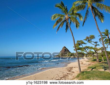 Mauna Lahilahi Beach Park, Waianae, Leeward Coast, Oahu, Hawaii View Large Photo Image Stock Photo - Mauna Lahilahi Beach Park, Waianae, Leeward Coast, Oahu, Hawaii. Fotosearch