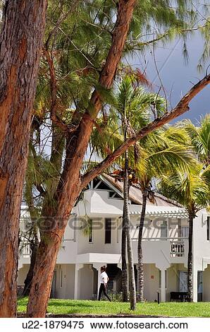 Stock Photography - Mauritius, Palmar, Ambre Hotel. Fotosearch