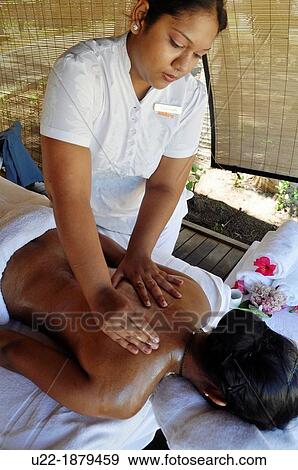 Mauritius, Palmar, massage at the spa of the Ambre Hotel View Large Photo Image Stock Photo - Mauritius, Palmar, massage at the spa of the Ambre Hotel. Fotosearch
