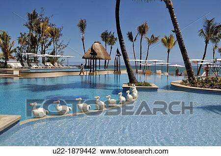 Mauritius, Palmar, swimming pool with Dodo statuettes at the Ambre Hotel View Large Photo Image Stock Image - Mauritius, Palmar, swimming pool with Dodo statuettes at the Ambre Hotel. Fotosearch