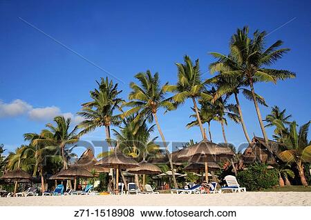 Mauritius, Trou aux Biches, beach, palms View Large Photo Image Stock Photo - Mauritius, Trou aux Biches, beach, palms. Fotosearch