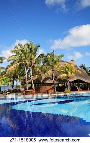 Mauritius, Trou aux Biches Hotel, pool, palms. View Large Photo Image Stock Photography - Mauritius, Trou aux Biches Hotel, pool, palms.. Fotosearch