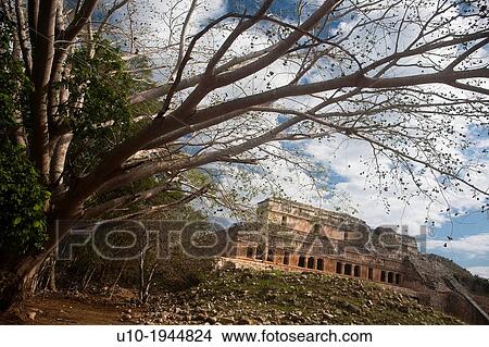 Mayan arqueological site Sayil, Yucatan, Mexico. View Large Photo Image Picture - Mayan arqueological site Sayil, Yucatan, Mexico.. Fotosearch