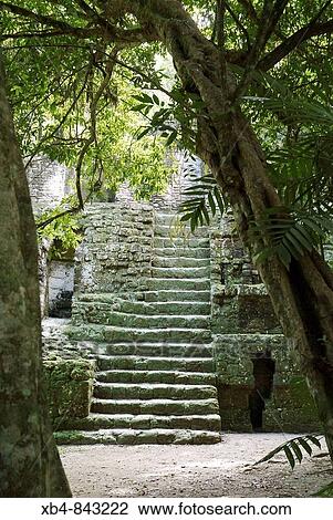 Stock Image - Mayan ruins, Tikal, Guatemala. Fotosearch