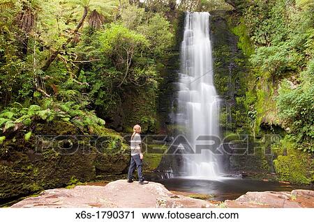 Stock Image - McLean Falls near Papatowai, South Island, New Zealand. Fotosearch