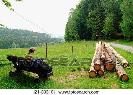 Stock Image - Meadow and logs.. Fotosearch