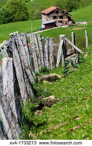 Stock Image - Meadow in Bertizarana Valley, Navarre, Spain. Fotosearch
