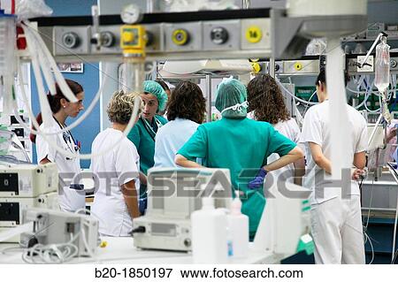 Medical care, Neonate Intensive care Unit, Donostia Hospital, San Sebastian, Donostia, Gipuzkoa, Basque Country, Spain View Large Photo Image Stock Photo - Medical care, Neonate Intensive care Unit, Donostia Hospital, San Sebastian, Donostia, Gipuzkoa, Basque Country, Spain. Fotosearch