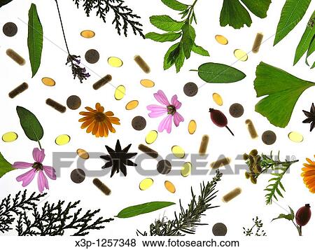 Medicinal plant Capsules and pills View Large Photo Image Stock Photo - Medicinal plant Capsules and pills. Fotosearch
