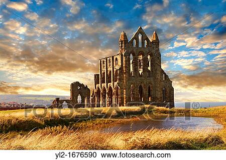 Medieval Gothic Whitby Abbey at sunset, Whitby, North Yrokshire, England View Large Photo Image Stock Image - Medieval Gothic Whitby Abbey at sunset, Whitby, North Yrokshire, England. Fotosearch