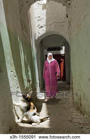 medina of Tetouan, Rif mountains, Morocco View Large Photo Image Stock Image - medina of Tetouan, Rif mountains, Morocco. Fotosearch
