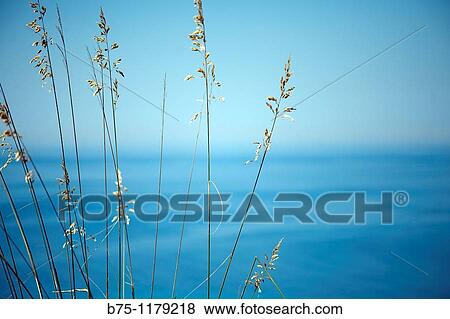 Stock Photo - Mediterranean, Balearic Islands, Minorca. Fotosearch
