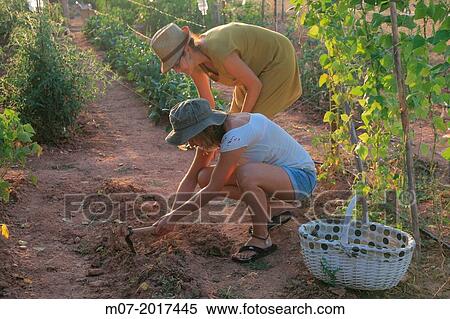 Mediterranean organic farming, vegetable garden, Riojan red beens from Anguiano. La Rioja, Rioja wine regi? n, Spain. Europe. View Large Photo Image Stock Photography - Mediterranean organic farming, vegetable garden, Riojan red beens from Anguiano. La Rioja, Rioja wine regi? n, Spain. Europe.. Fotosearch