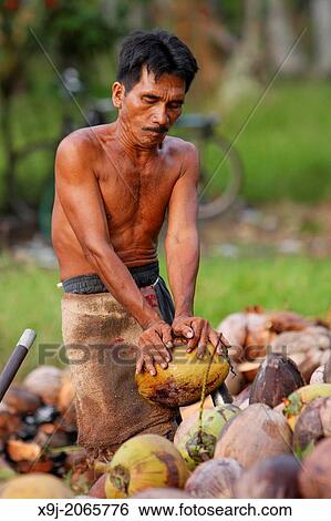 men processing coconut, Borneo View Large Photo Image Stock Photograph - men processing coconut, Borneo. Fotosearch