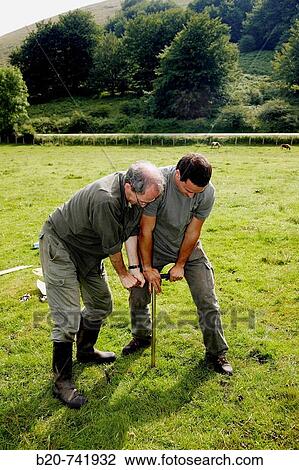 Stock Image - Men using Russian corer to sample peat, climate change research, Neiker-Tecnalia, Unit of Environment, Belate, Navarra, Spain. Fotosearch