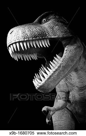 Menacing Tyrannosaurus Rex dinosaur at night View Large Photo Image Stock Photography - Menacing Tyrannosaurus Rex dinosaur at night. Fotosearch