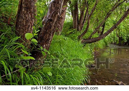 Mendata Urdaibai Biosphere Reserve of Biscay, Basque Country Spain Europe View Large Photo Image Stock Photograph - Mendata Urdaibai Biosphere Reserve of Biscay, Basque Country Spain Europe. Fotosearch