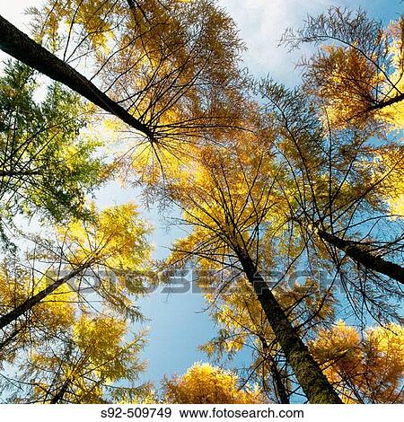 Meri Blanche. French Pyrenees. View Large Photo Image Stock Photo - Meri Blanche. French Pyrenees.. Fotosearch