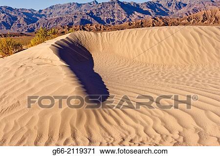 Stock Image - Mesquite Flats Little Sand Dunes, Death Valley National Park.. Fotosearch
