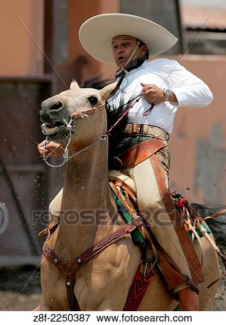 Mexican Cowboys compete in our National Sport, La Charreria. In the Lienzo Charro teams perform several disiplines to win prizes. San Luis Potosi, Mexico. View Large Photo Image Stock Photo - Mexican Cowboys compete in our National Sport, La Charreria. In the Lienzo Charro teams perform several disiplines to win prizes. San Luis Potosi, Mexico.. Fotosearch
