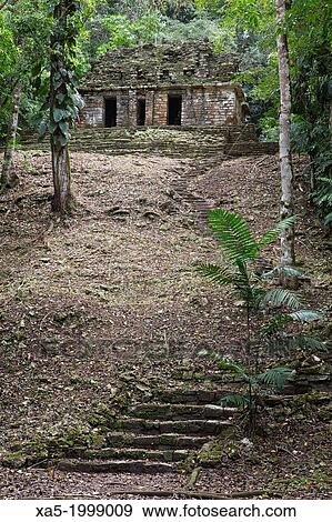 Mexico, Chiapas, Yaxchilan Archaeological Zone, Structure 30. View Large Photo Image Stock Photo - Mexico, Chiapas, Yaxchilan Archaeological Zone, Structure 30.. Fotosearch