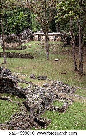 Stock Photograph - Mexico, Chiapas, Yaxchilan Archaeological Zone, Main Plaza.. Fotosearch