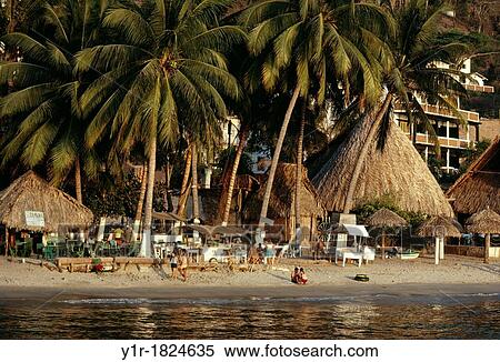 Mexico, Jalisco, Puerto Vallarta, Beach Scene View Large Photo Image Stock Photography - Mexico, Jalisco, Puerto Vallarta, Beach Scene. Fotosearch