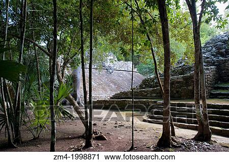 MEXICO, YUCATAN PENINSULA, NEAR CANCUN, MAYA RUINS OF COBA, COBA GROUP, BALL COURT. View Large Photo Image Stock Image - MEXICO, YUCATAN PENINSULA, NEAR CANCUN, MAYA RUINS OF COBA, COBA GROUP, BALL COURT.. Fotosearch