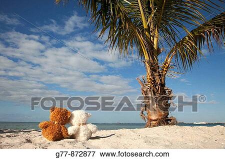 Miami, Florida, USA View Large Photo Image Stock Photo - Miami, Florida, USA. Fotosearch