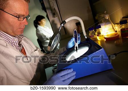 Stock Image - Microbiological count agar plate, Cleanroom Microbiology, Biotechnology Laboratory, Health Area, Alava Technology Park, Technology Centre, Tecnalia Research & Innovation, Miano, Araba, Basque Country, Spain. Fotosearch