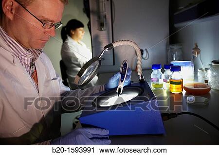 Stock Image - Microbiological count agar plate, Cleanroom Microbiology, Biotechnology Laboratory, Health Area, Alava Technology Park, Technology Centre, Tecnalia Research & Innovation, Miano, Araba, Basque Country, Spain. Fotosearch