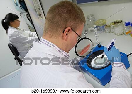 Stock Photo - Microbiological count agar plate, Cleanroom Microbiology, Biotechnology Laboratory, Health Area, Alava Technology Park, Technology Centre, Tecnalia Research & Innovation, Miano, Araba, Basque Country, Spain. Fotosearch