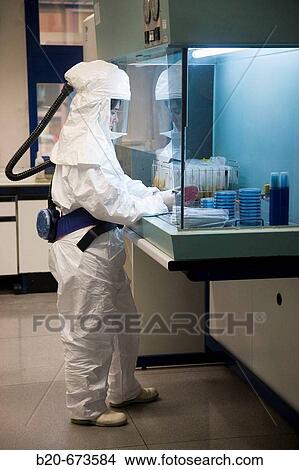 Picture - Microbiological culture, working in laminar flow cabinet using monitorized safety equipment (Biosafety Level 2), Laboratory of Bacteriology, Departamento de Producci? n y Sanidad Animal, Neiker Tecnalia, Derio, Bizkaia, Euskadi, Spain. Fotosearch