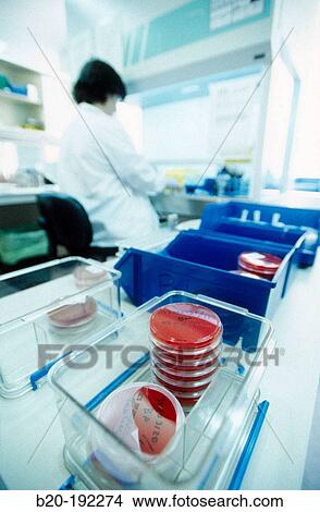 Picture - Microbiology lab. Fotosearch