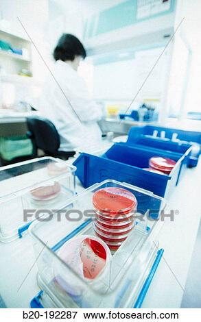 Microbiology lab View Large Photo Image Stock Photo - Microbiology lab. Fotosearch